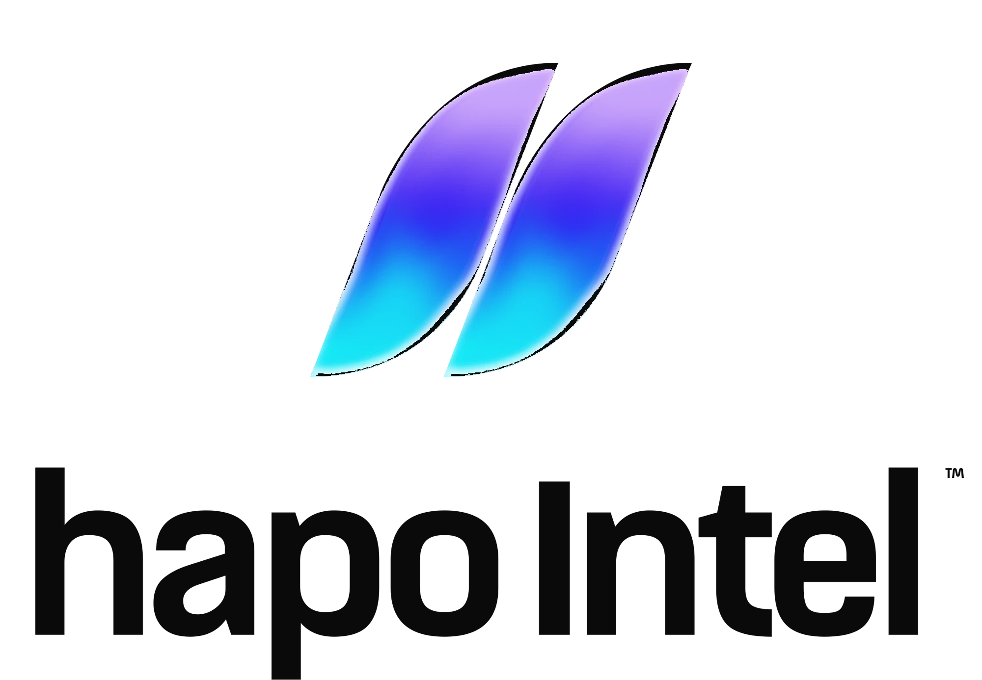 Hapo Intelligence logo